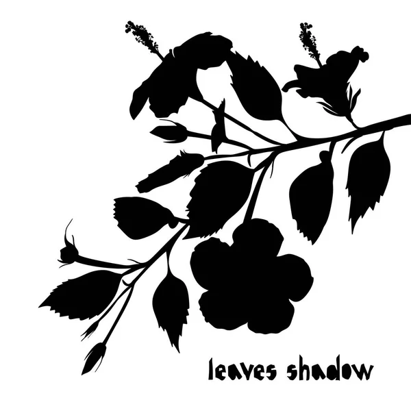 Motif avec des feuilles d'hibiscus tropicaux noirs et une ombre à la silhouette florale isolée sur fond blanc . — Image vectorielle