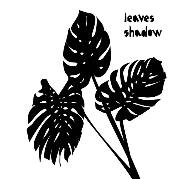 Vzor s černou tropické monstera listy silueta stín izolovaných na bílém pozadí. Vintage tkanina textil, módní letní tiskový design — Stockový vektor