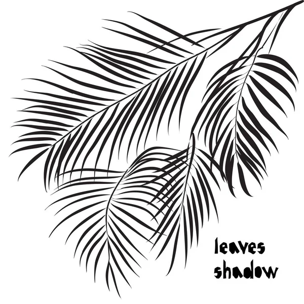 黒ビンロウジュのパーム熱帯パターン シルエット影が白い背景で隔離の葉します。ヴィンテージ ファブリック テキスタイル、ファッション夏の印刷デザイン — ストックベクタ