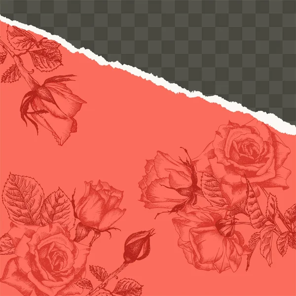 Trendy easy editable template for social media post in torn paper style. Roses flower theme Creative design background for individual and corporate web promotion, blogs — Stock Vector