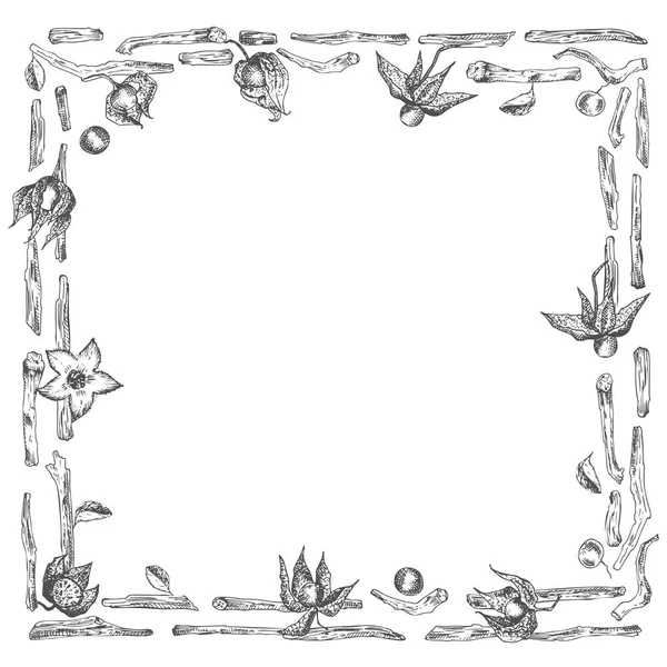 Ashwagandha el çilek ile sınır çerçeve desen çizilmiş, beyaz arka plan üzerinde siyah renkli yaşamları ve şube. Retro vintage grafik tasarım Botanik kroki çizim — Stok Vektör