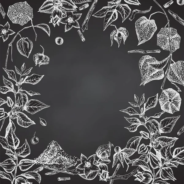 Ashwagandha tracé à la main modèle de cadre de frontière avec des baies, des vies et des branches de couleur craie blanche sur fond de tableau noir . — Image vectorielle