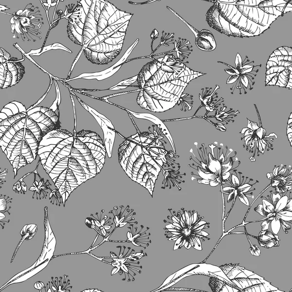 Tangan Linden mekar menggambar pola mulus dengan bunga, kehidupan dan cabang dalam warna hitam dan putih pada latar belakang abu-abu. Gambar sketsa botani desain grafis vintage retro - Stok Vektor
