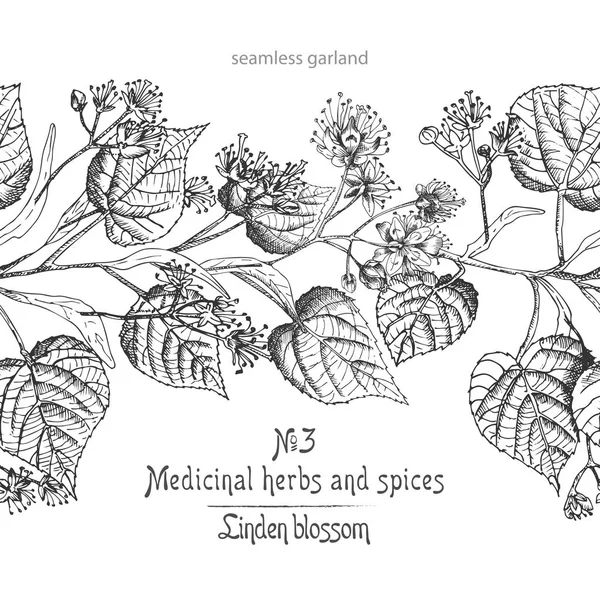 林登花手画边界图案与花，生活和分支在白色背景的黑色。复古复古平面设计 植物素描 — 图库矢量图片