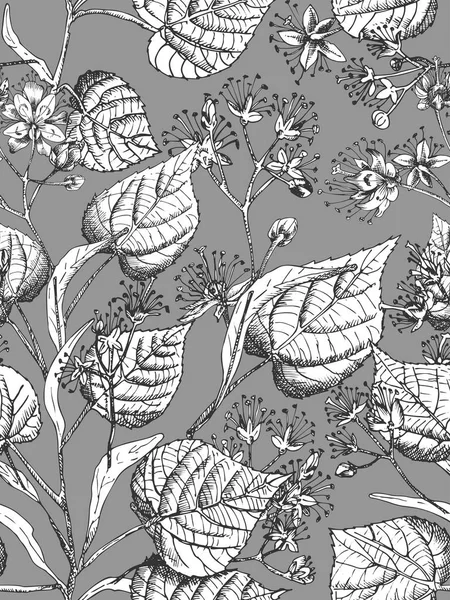 Patrón sin costura dibujado a mano de flor de tilo con flor, vidas y rama en color blanco y negro sobre fondo gris. Diseño gráfico retro vintage Dibujo de boceto botánico — Vector de stock