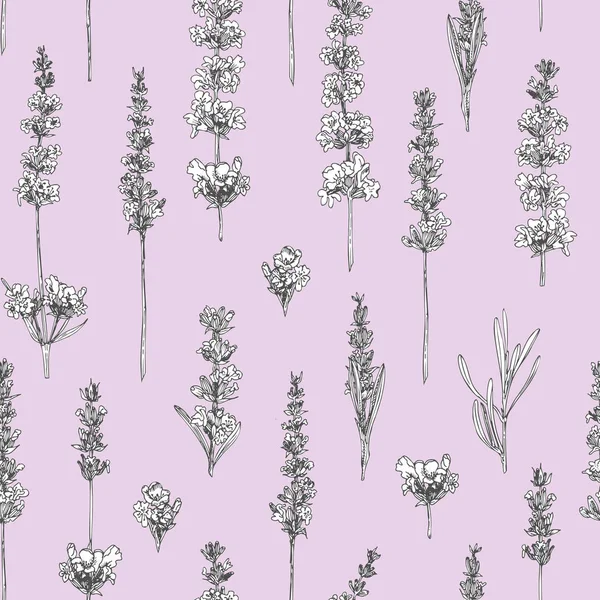 Semless patroon met hand getekende schets van schattige lavendel bloem geïsoleerd op roze achtergrond. Frankrijk Provence retro stijl voor romantisch vers design concept. Natural lavendel — Stockvector
