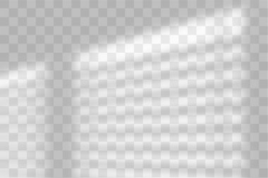Şeffaf pencere gölgesi. Işık efekti. Ağ örgüsü. Tasarım kartınız, posteriniz, hikayeleriniz Fotoğraf gerçekçi vektör illüstrasyonunuz