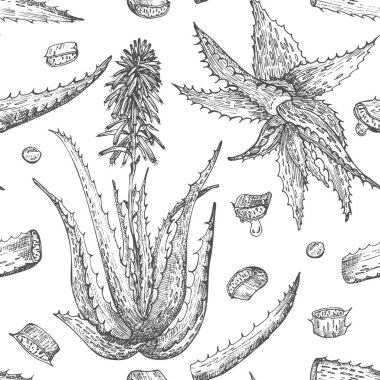 Seamless pattern with hand drawn Aloe vera lives and flower in black color isolated on white background. Retro vintage engaving graphic design Botanical sketch drawing, Vector illustration. clipart