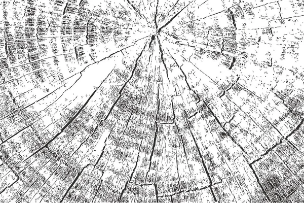 Текстура Годового Ствола Натуральной Древесины Изолирована Белом Фоне Эффект Гранжа — стоковый вектор