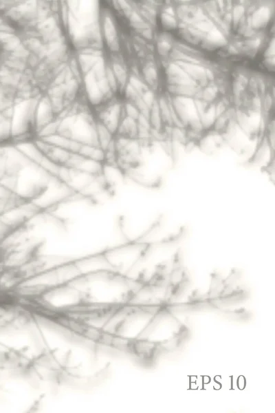Ombre Végétale Naturelle Transparente Superposition Effet Lumière Grille Maille Présentation — Image vectorielle