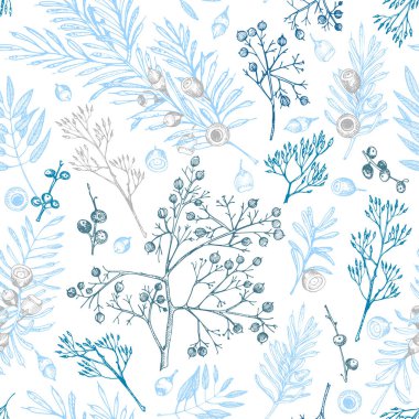 Beyaz arka planda ince dallar, böğürtlenler ve bitki yapraklarıyla kışın kusursuz desen. El çizimi klasik robot resim botanik illüstrasyon düz renk vektörü