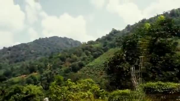 Sri lanka bergen — Stockvideo