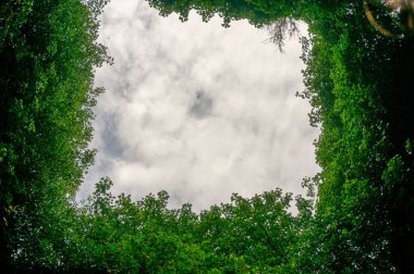 Vrmac Dağı'nda terk edilmiş eski bir Katolik kilisesi olan Stara Zupna Crkva'nın kalıntıları, Prcanj kasabası, Kotor Körfezi, Karadağ.