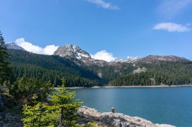 Doğal manzara. Dağ gölü. Durmitor Milli Parkı 'nda kara göl manzarası. Karadağ.