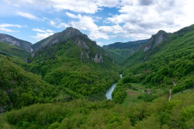 Tara Nehri Kanyonu. Ziyaret için en popüler yer Durdevica köprüsüdür. Zabljak Jurjevich Köprüsü, Karadağ