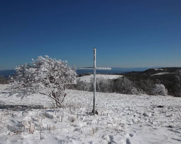 Kuzey Carolina'da kar