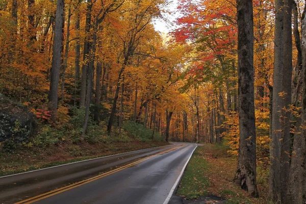 büyük smoky Dağları düşmek