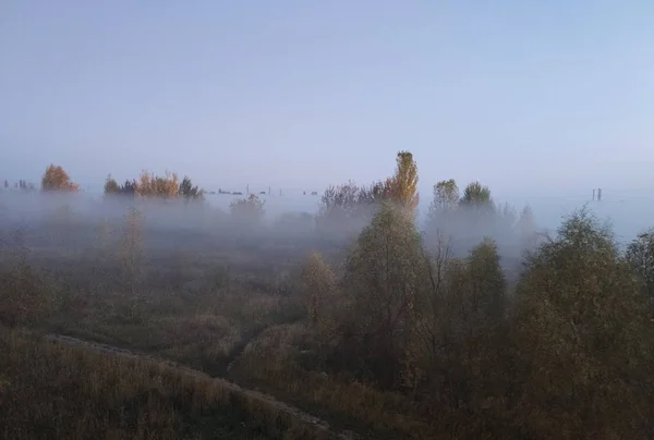 Ranní Mlha Kyjevská Oblast — Stock fotografie