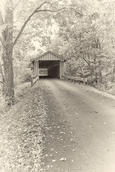 Albumen Print - Puente cubierto de Colville — Foto de Stock