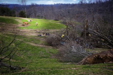 Bir kasırga sonrası