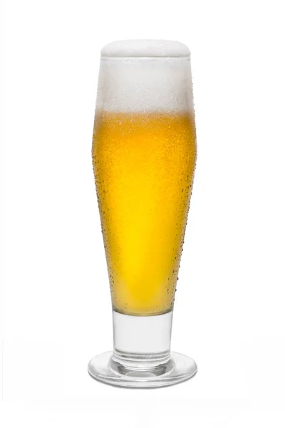 클래식 Pilsner 맥주 거품 머리 #1 응축 — 스톡 사진