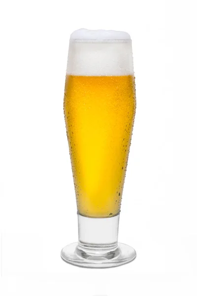 응축, 거품 머리 # 4와 함께 클래식 Pilsner 맥주 — 스톡 사진