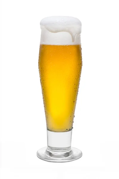 클래식 Pilsner 맥주 거품 머리와 물방울 응축 — 스톡 사진