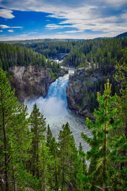 Yellowstone Milli Parkı'ndaki Yukarı Yellowstone Şelalesi'nin Veiw'i, Wy