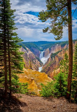 Veiw of Lower Yellowstone Falls through the trees with the Grand clipart