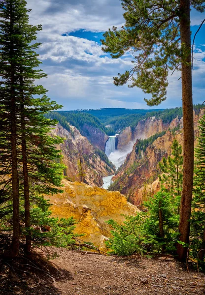 Veiw de Lower Yellowstone cai através das árvores com o Grand — Fotografia de Stock