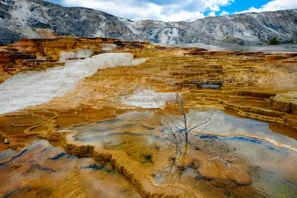 Mammoth Kaplıcası'ndaki teraslar, Yellowstone Ulusal Parkı.