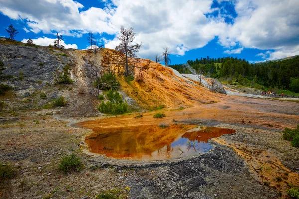 Reflekterande pool vid Mammoth Hot Springs, Yellowstone National par — Stockfoto