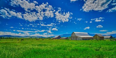 Grand Teton Milli Parkı'nda Mornon Row üzerinde Homestead.