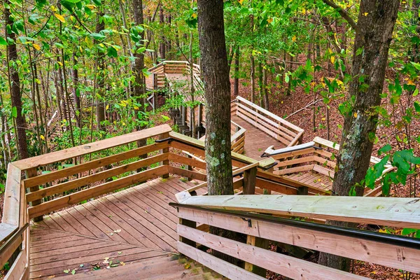 Escaliers en bois dans une forêt boisée . — Photo