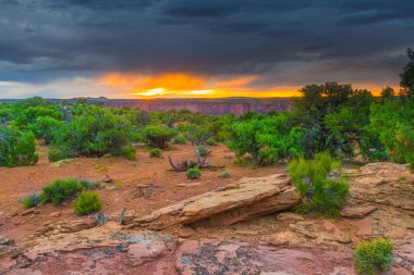 Dead Horse Point Eyalet Parkı 'nda sağanak yağış yaklaşıyor.