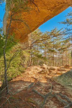 Sky Bridge Arch, Red River Gorge KY clipart