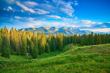 Irwin Gölü üzerindeki Alp Çayırı