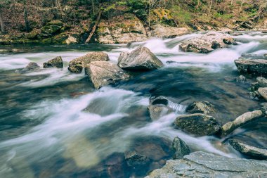 Tellico Nehri 'ndeki Bebek Şelalesi' nin üzerindeki Rapids # 4
