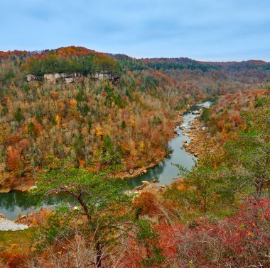 Şeytanlar Sıçrama Gözden Kaçar, Ky
