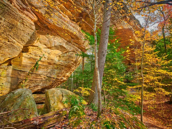 Twin Arches Trail, South Arch en Big South Fork National River a —  Fotos de Stock