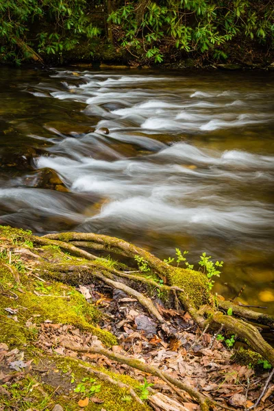 Rapids on the North River, TN — Stock Photo, Image
