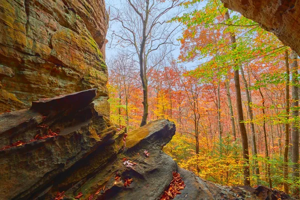 ( 영어 ) Fall Foliage from Crack in the Rocks, KY — 스톡 사진