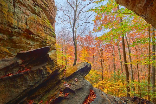 Fogliame d'autunno da Crack in the Rocks, KY — Foto Stock