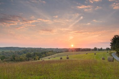 Sunset ve Hayfield Ky.