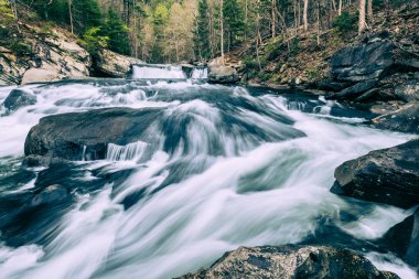 Baby Falls ve Rapids on the Tellico River, Tn. 1