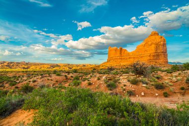 Taşlaşmış Kumullar Anıtı, Arches Ulusal Parkı, Ut