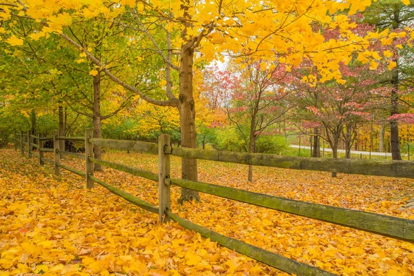 Valla vieja con hojas de otoño —  Fotos de Stock