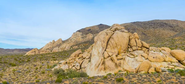 Monzogranito Montes, Jousha Tree National Park — Fotografia de Stock