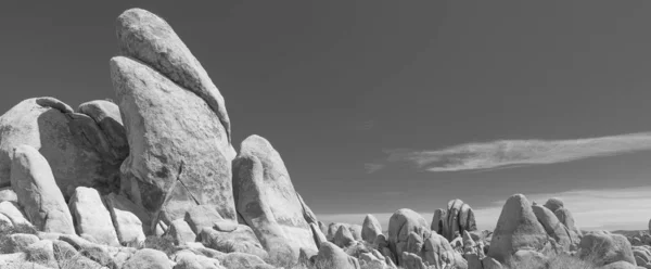 Fehér Tank terület Joshua Tree Nemzeti Park — Stock Fotó