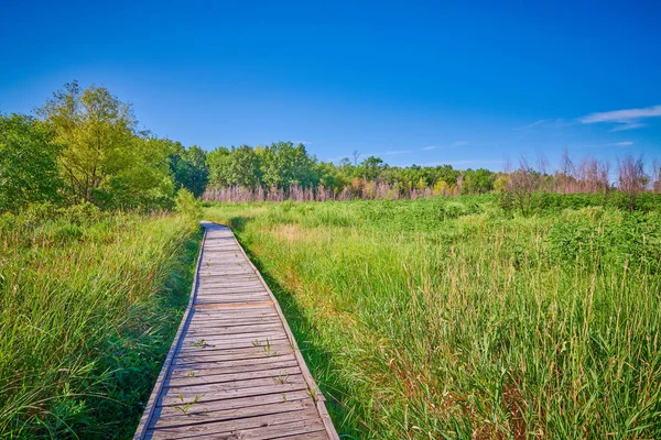 Boardwalk στο Pershing State Park, Μο — Φωτογραφία Αρχείου